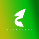 evergreen paper